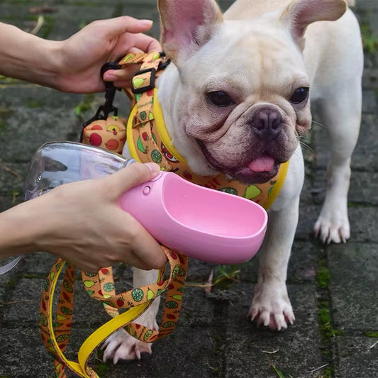 Keep Your Pup Hydrated and Happy: Fun Tips to Make Water Your Dog’s BFF! 🐶💧