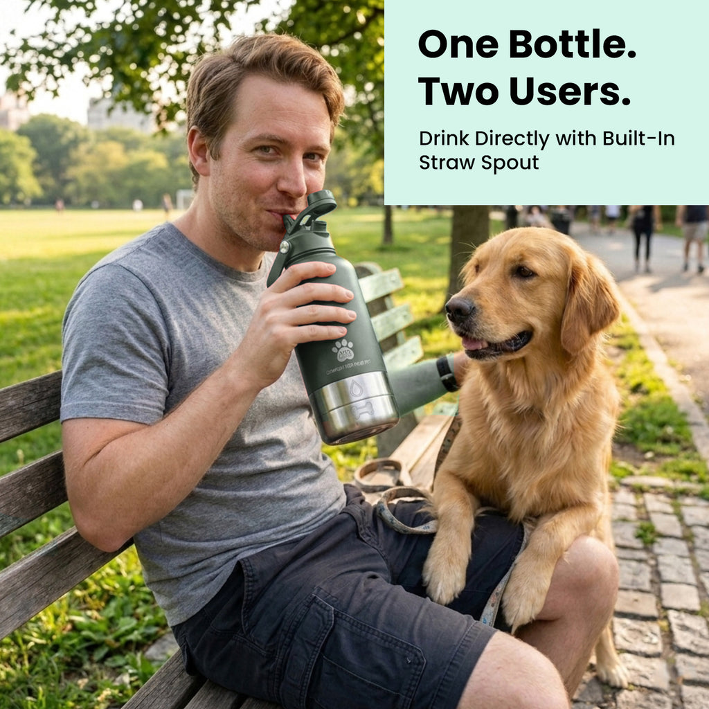 3-in-1 Dog Water Bottle with Carrier Bag